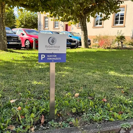 Apartament Bei Deidesheim - Haustierfreundliches Mit Fahrradgarage *