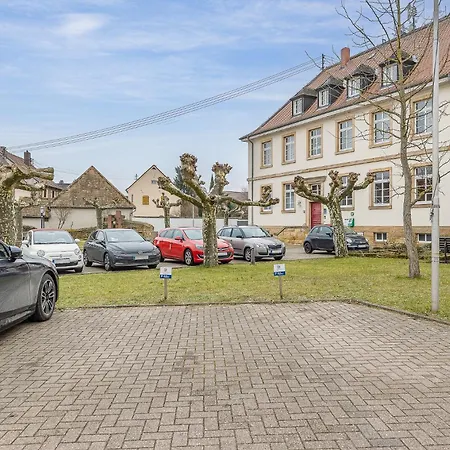 Daire Bei Deidesheim - Haustierfreundliches Mit Fahrradgarage