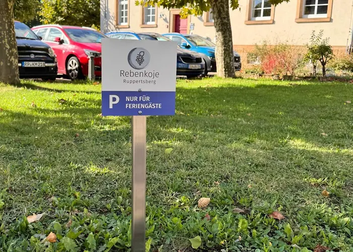 Apartamento Im Herzen Der Pfalz - Urlaub In Der Rebenkoje *