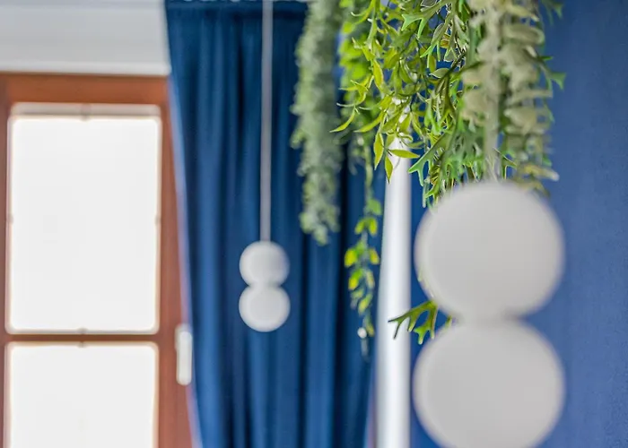 Apartamento Im Herzen Der Pfalz - Urlaub In Der Rebenkoje *